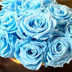 Meet your Posher, Jane